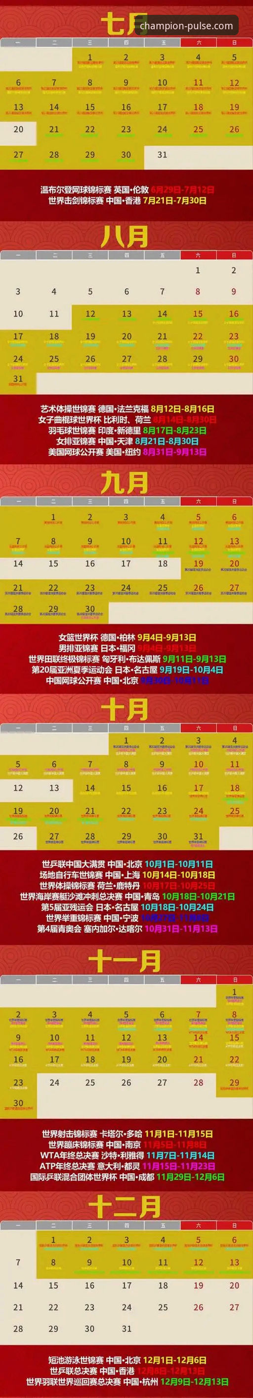 冠军体育资讯2026最新版本全面解析：新手如何快速掌握赛事动态与数据排行